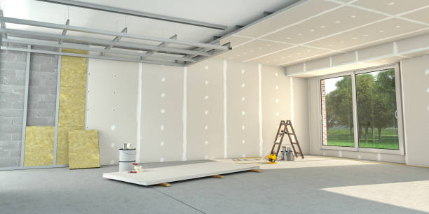 Best Insulation Maintenance and Repair in Plum Grove, TX