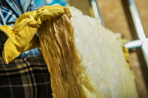 Best Spray Foam Insulation in Plum Grove, TX