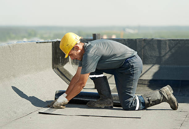 Best Cellulose Insulation in Plum Grove, TX