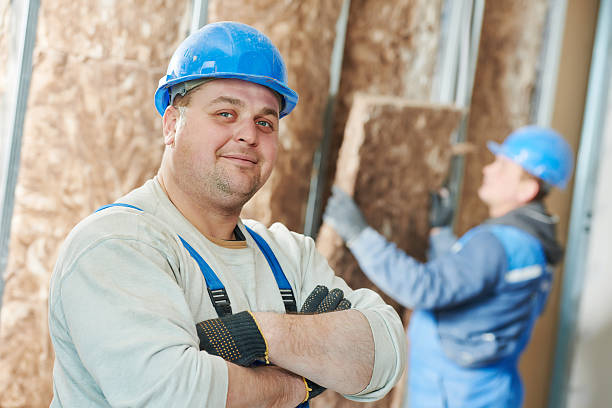 Best DIY Insulation Kits and Guidance in Plum Grove, TX
